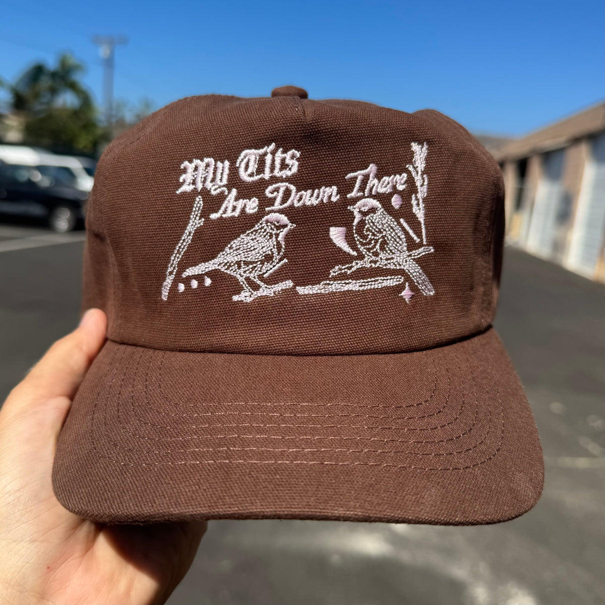 ‘My Tits Are Down There’ Hat