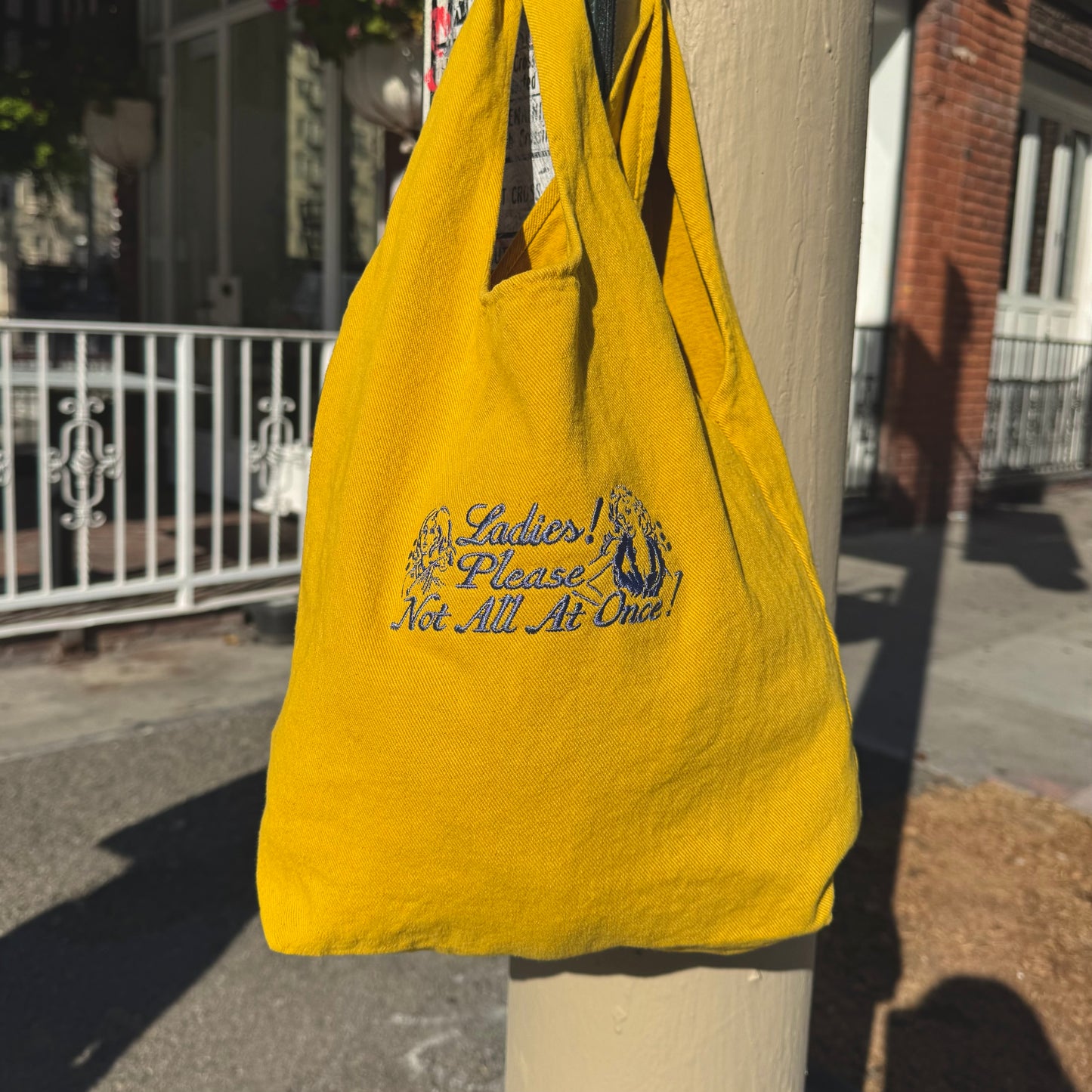 ‘Ladies, Please!’ Tote