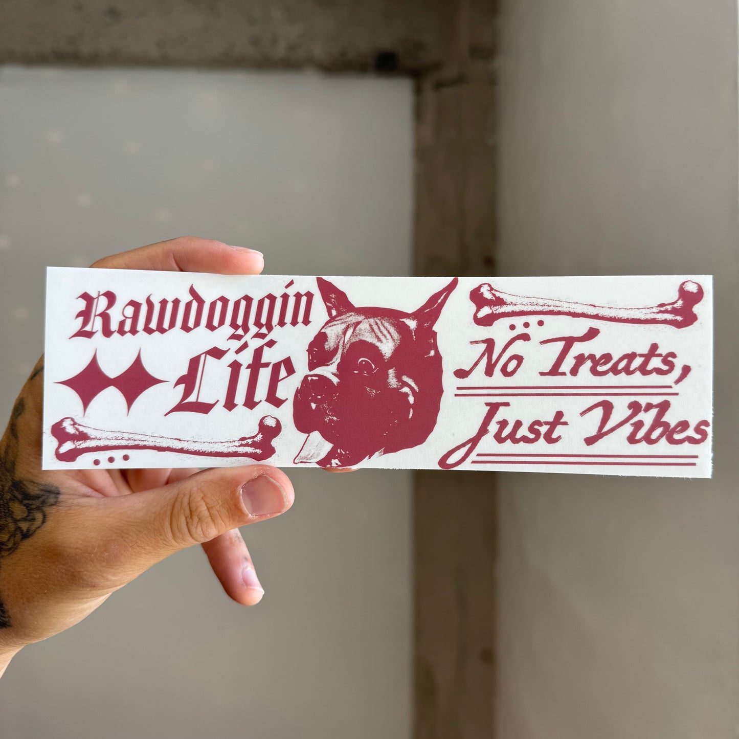 ‘Rawdoggin Life' Sticker