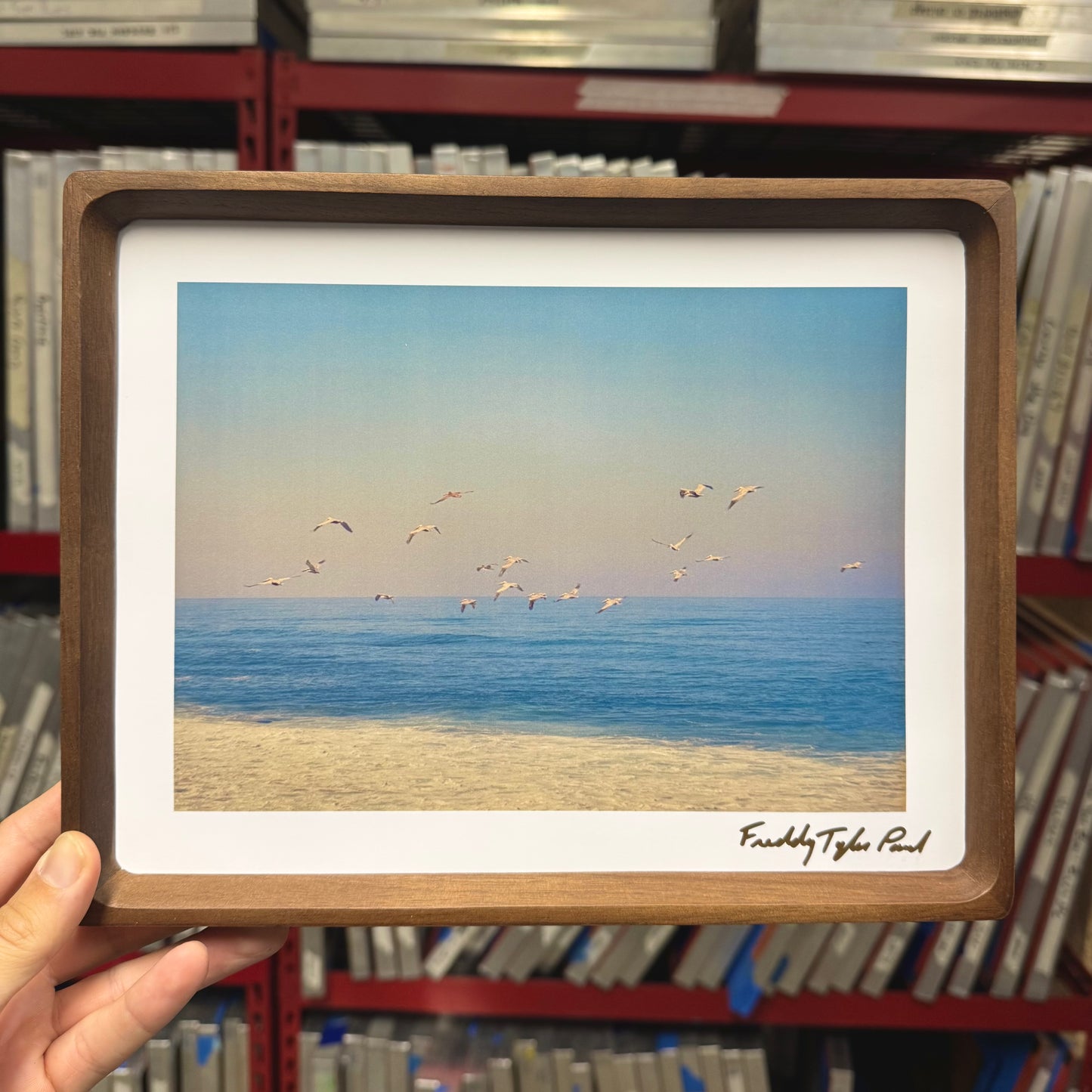 'Flock' Fine Art Print