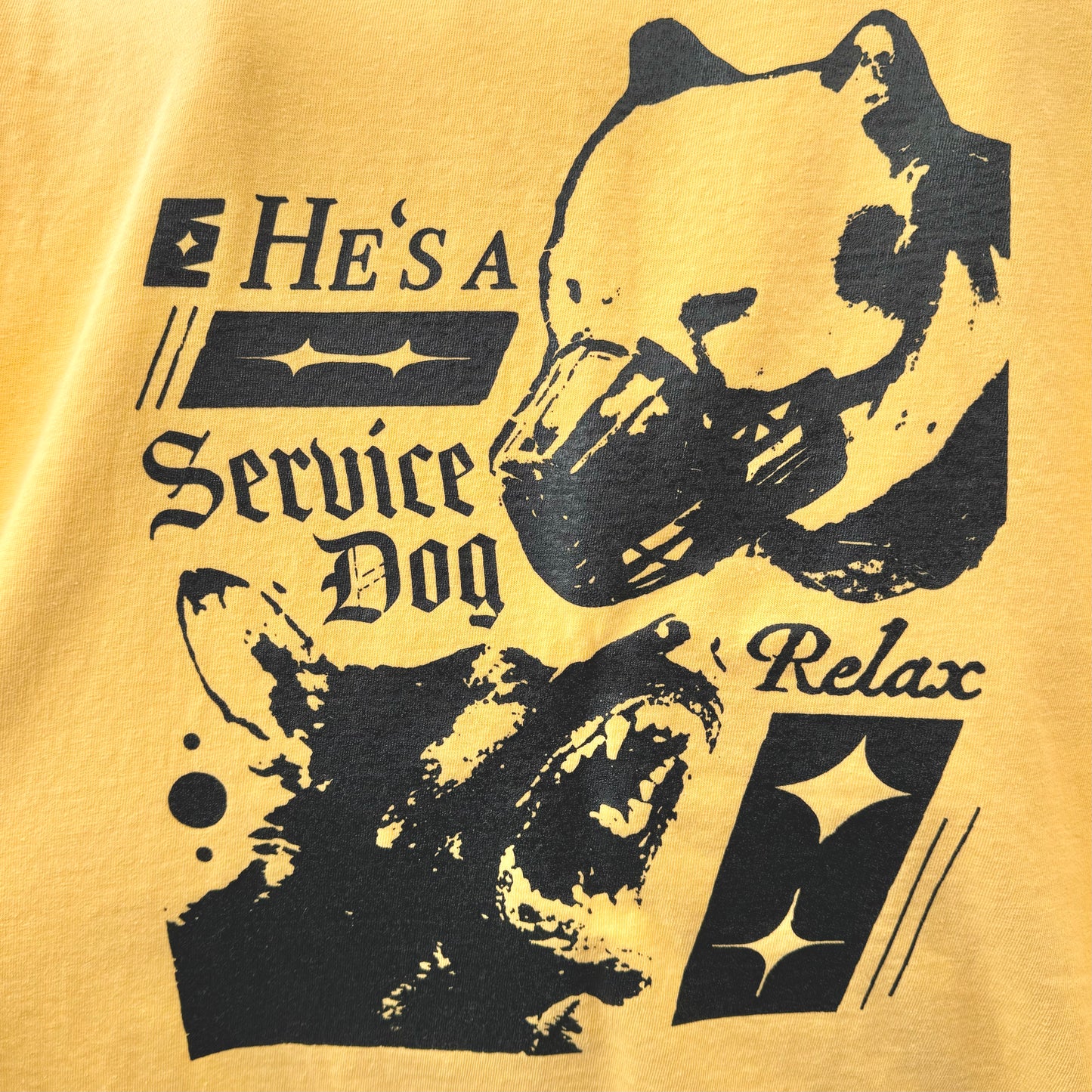'Service Dog’ Top
