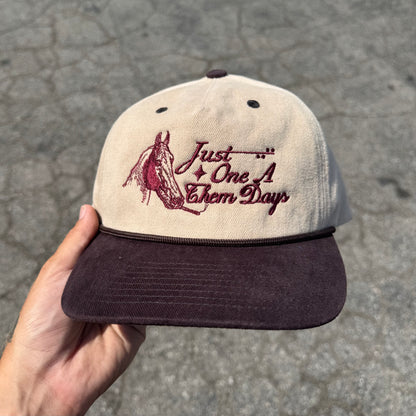 ‘One a Them Days' Hat