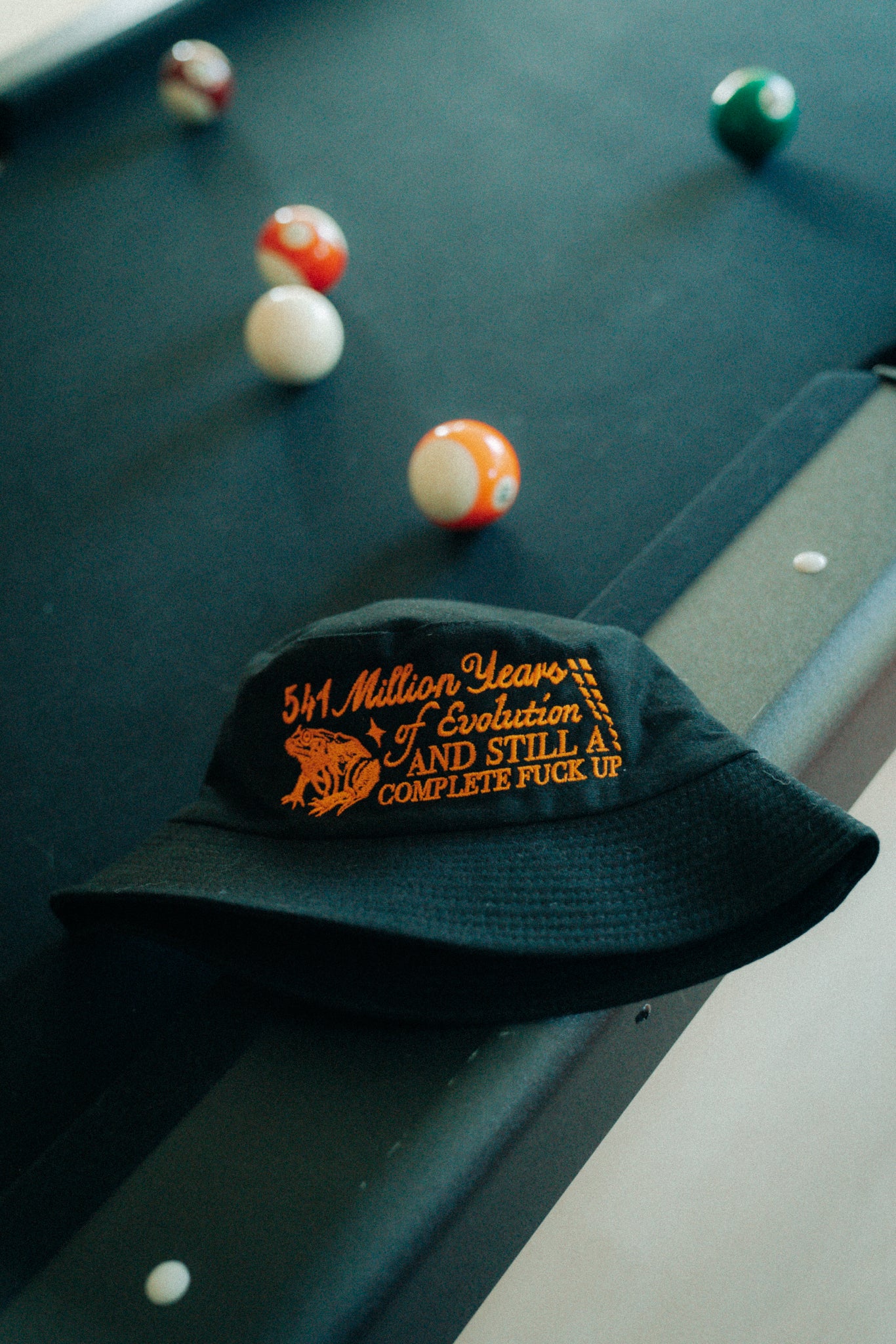 '541 Million Years of Evolution' Hat