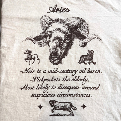 ‘Aries’ Top