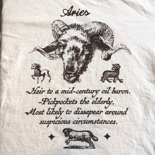 ‘Aries’ Top