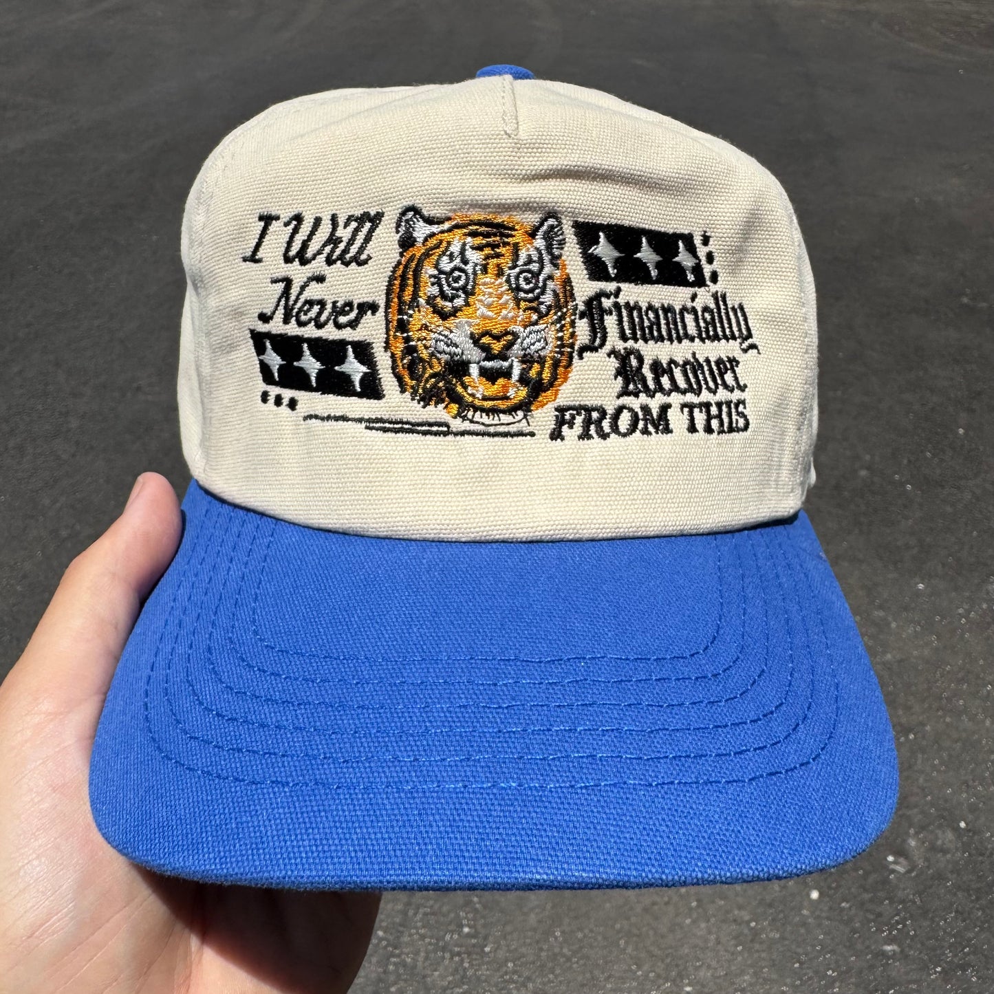 ‘Never Financially Recover’ Hat