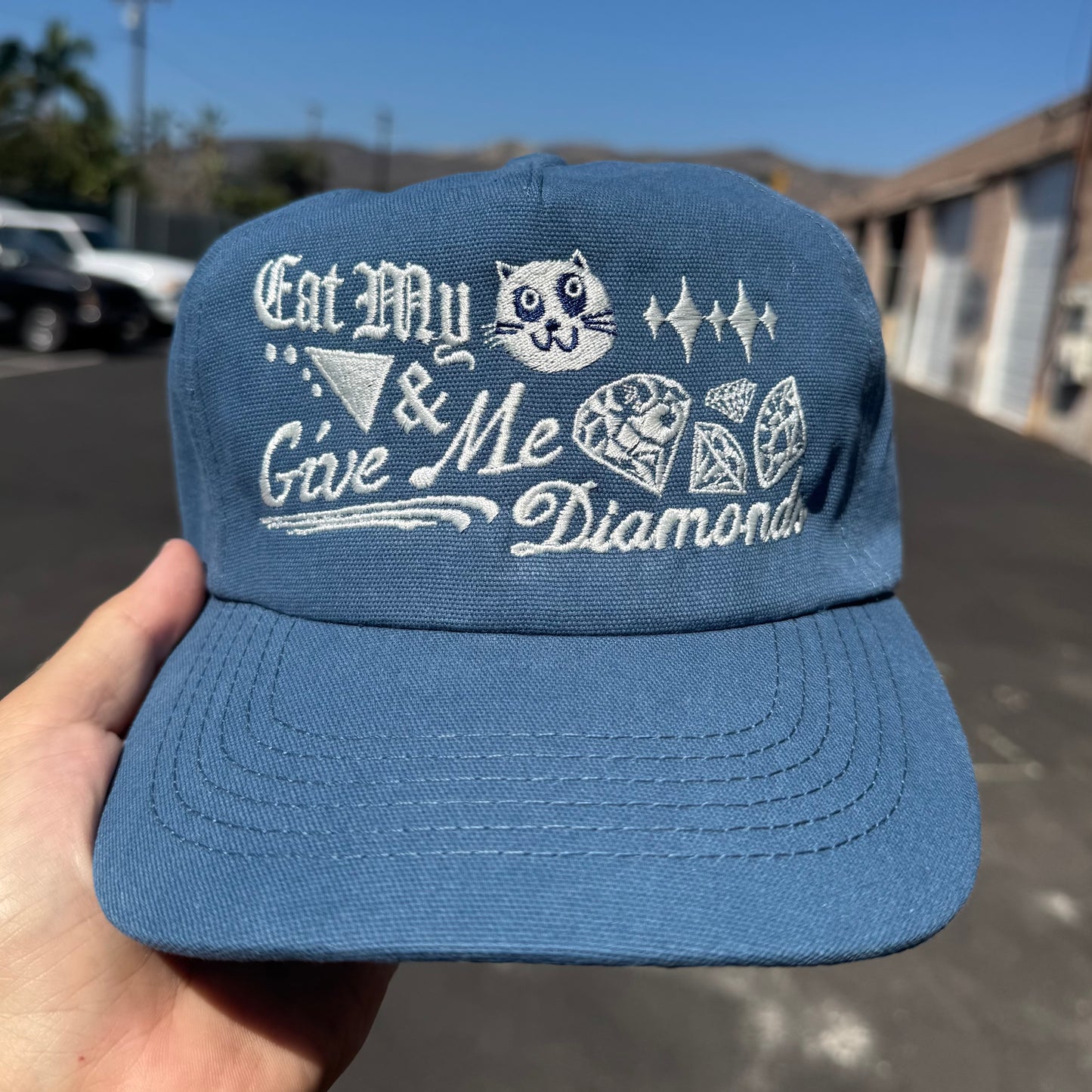‘Eat My Pussy & Give Me Diamonds’ Hat