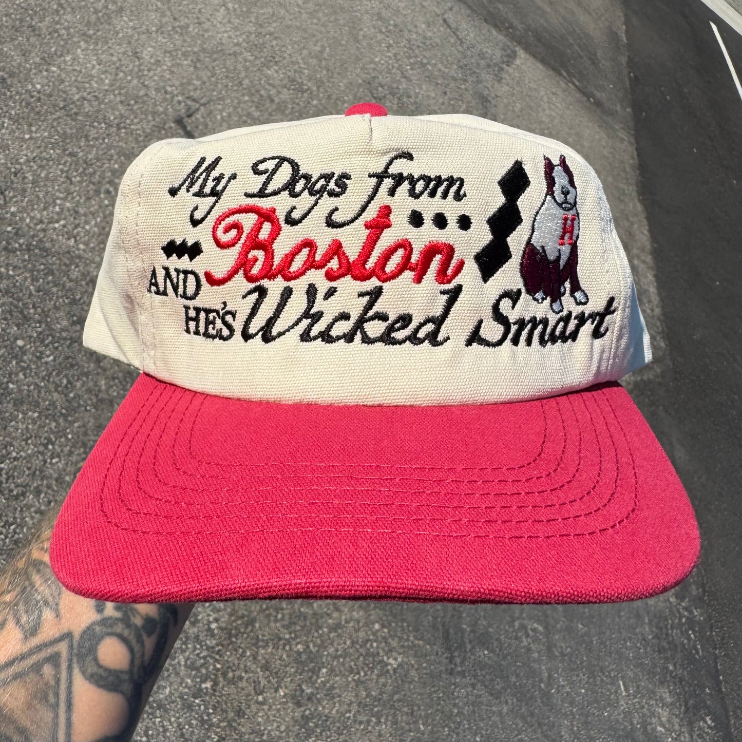 ‘Dog From Boston’ Hat