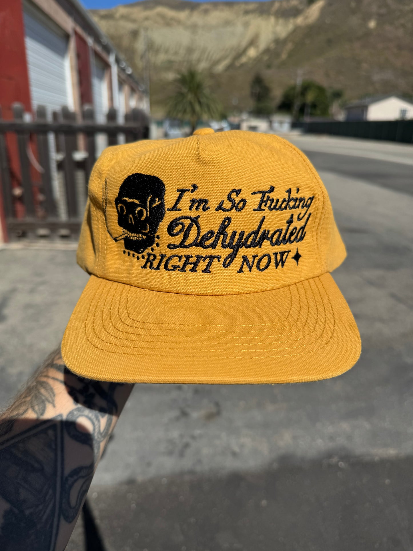 ‘Dehydrated’ Hat