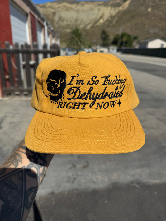 ‘Dehydrated’ Hat