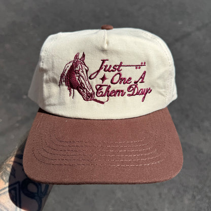 ‘One a Them Days' Hat