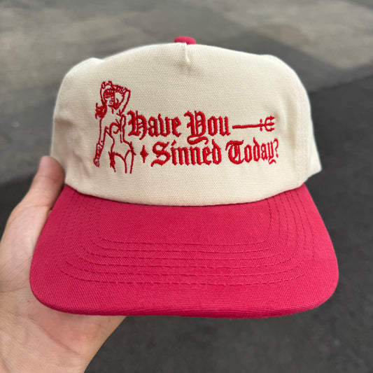 Have You Sinned Today?’ Hat