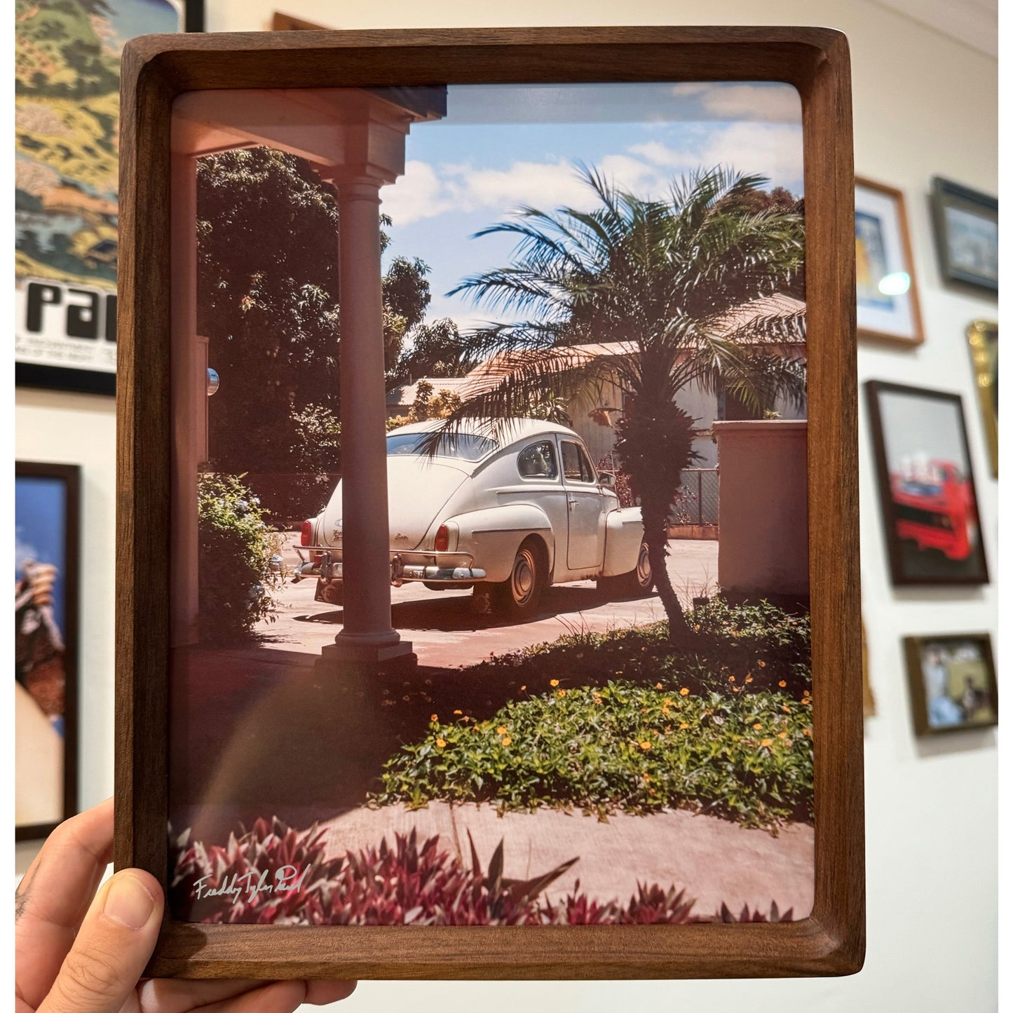 ‘Hawaiian Beetle’ Fine Art Print