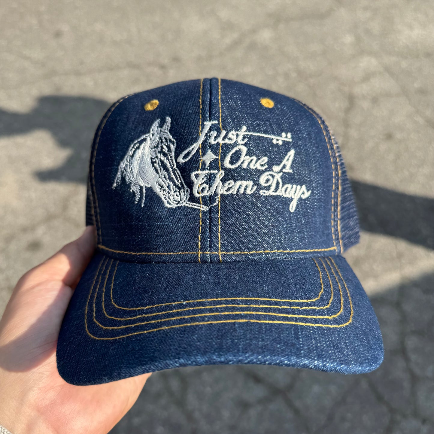 ‘One a Them Days' Hat