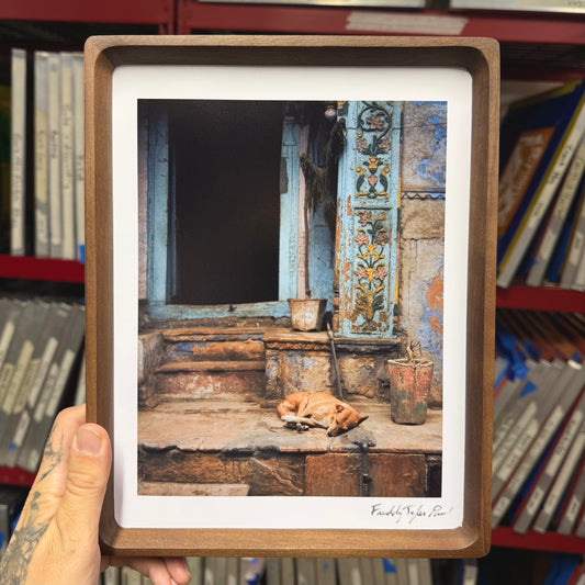 'Sleepy Desi' Fine Art Print
