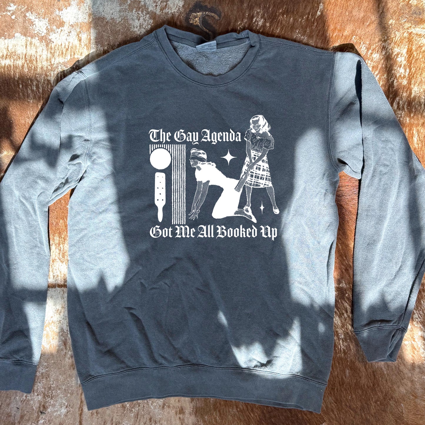 'The Gay Agenda' Top