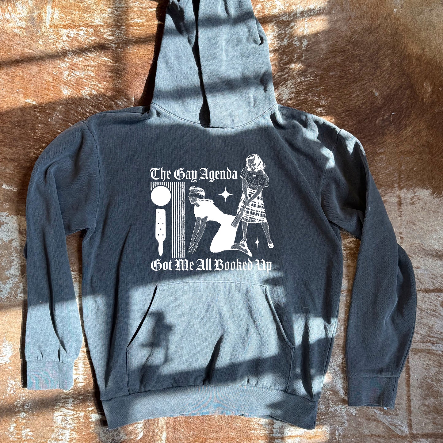 'The Gay Agenda' Top