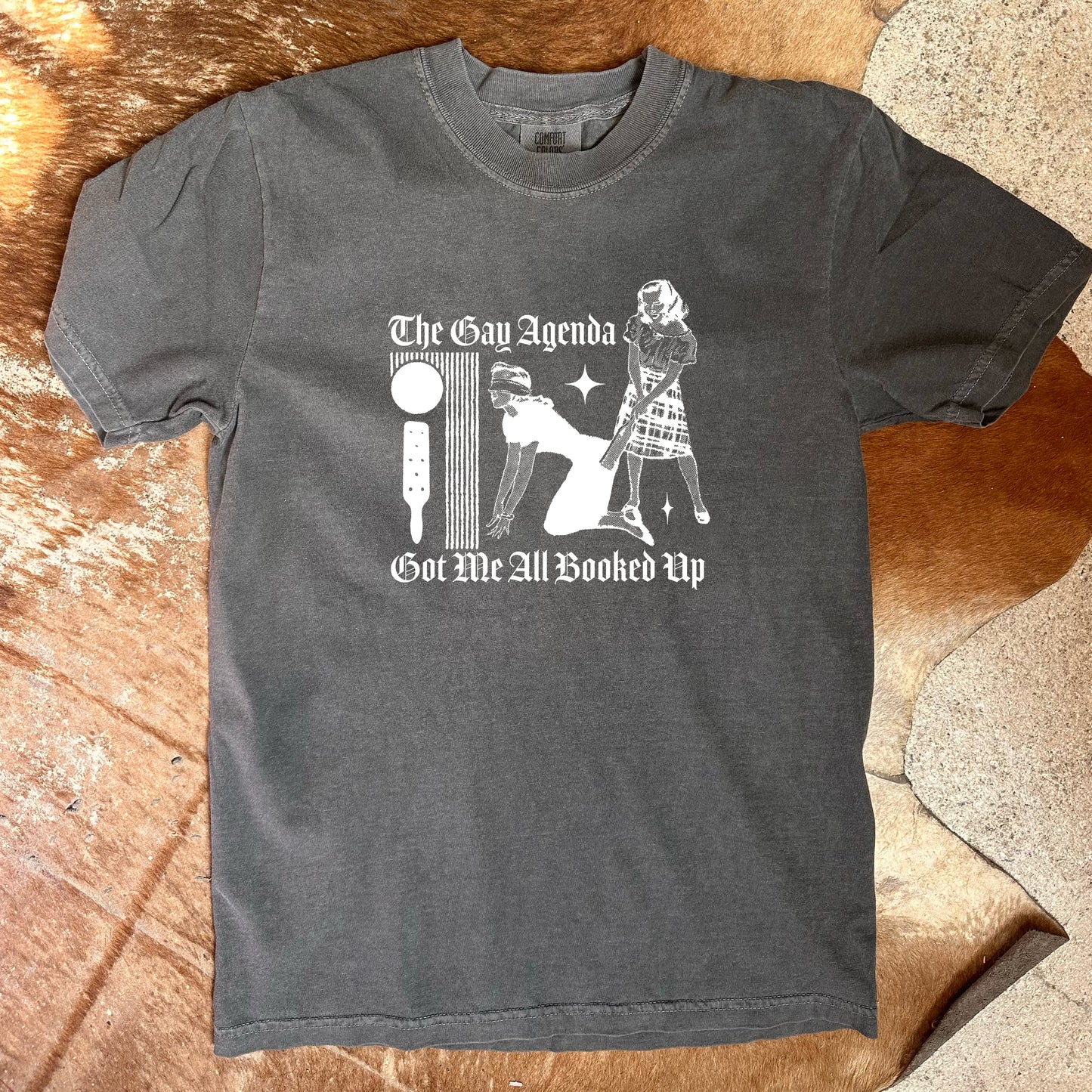 'The Gay Agenda' Top