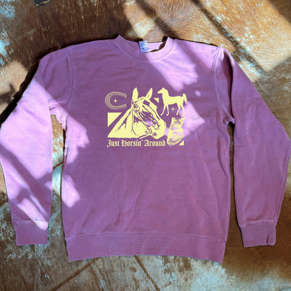 ‘Horsin’ Around’ Top