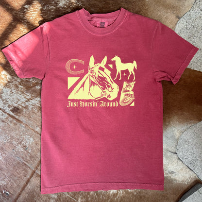 ‘Horsin’ Around’ Top