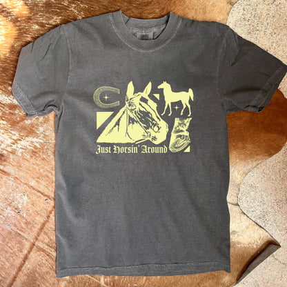 ‘Horsin’ Around’ Top