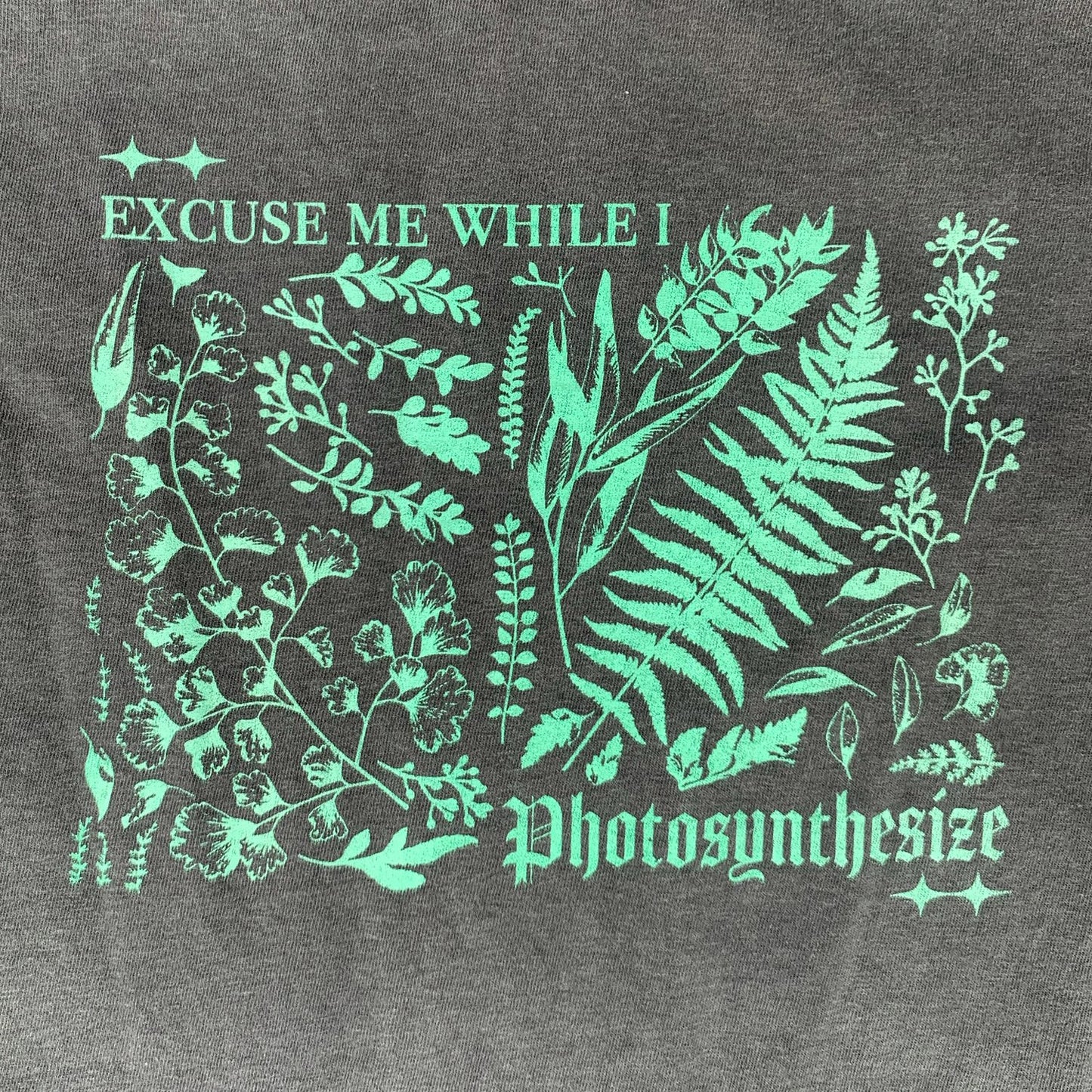 'Photosynthesize' Top