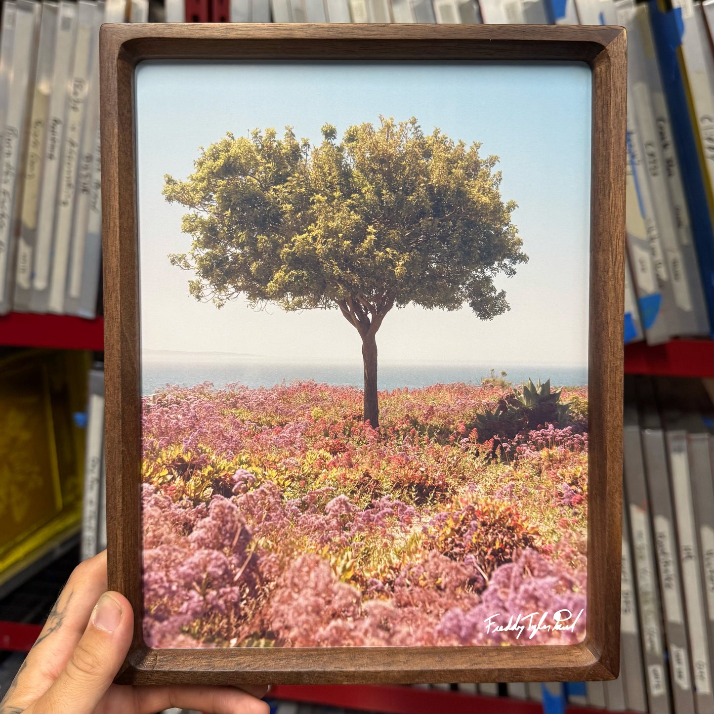 ‘Roots’ Fine Art Print