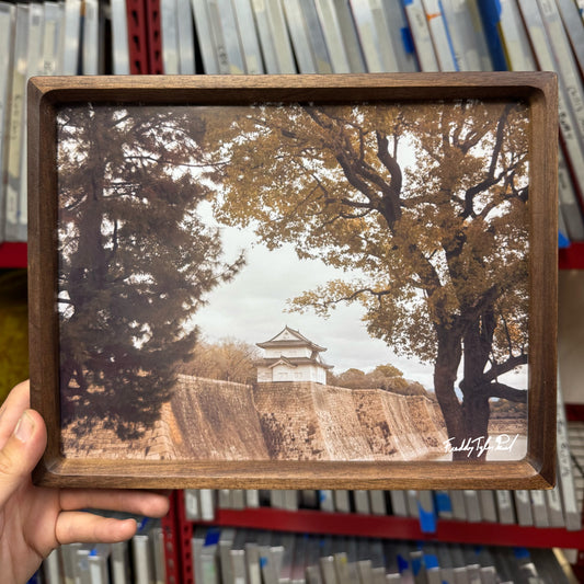 ‘Shogun’ Fine Art Print