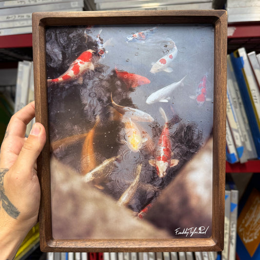 ‘Osaka Koi’ Fine Art Print