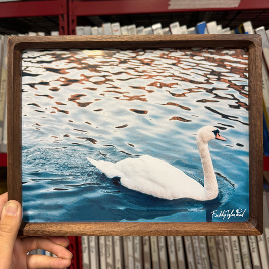 ‘Scottish Foul’ Fine Art Print