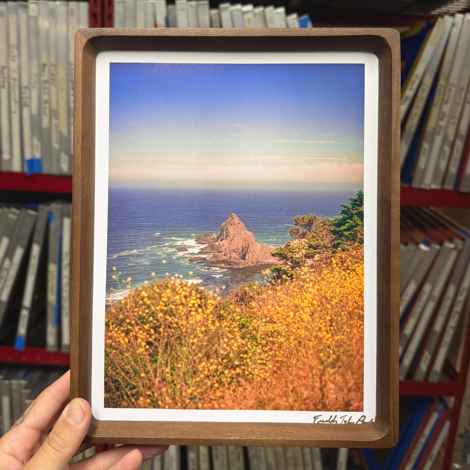 Framed artwork of a coastal scene with a rocky outcrop and ocean, held in front of a bookshelf.